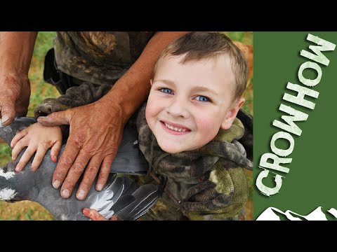 Family day on the pigeons - it's Crowhow