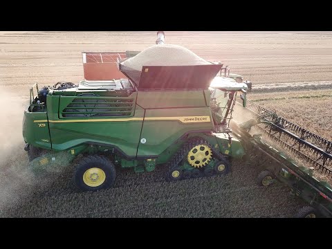 John Deere X9 1100 harvesting wheat | The NEW 100t/hour Combine - BIG Farming | Danish Agriculture