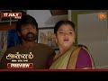 Annam Preview 17 July 2026 Tamil Serial Sun TV