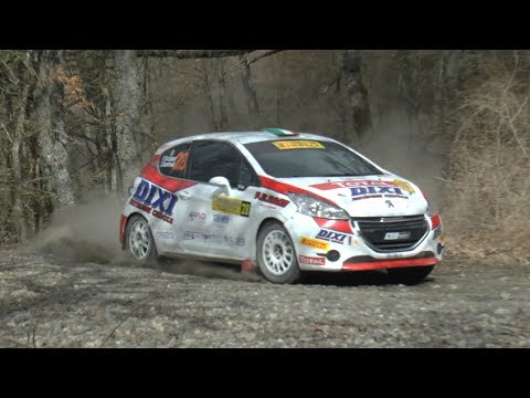 RALLY VALTIBERINA 2019 BATTILANI MANFREDI PEUGEOT 208