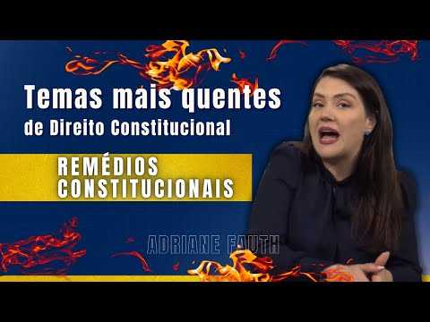 Hot Topics in Constitutional Law - Constitutional Remedies | Adriane Fauth