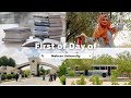 First day at Mehran University of Jamshoro | Coolcoinlee