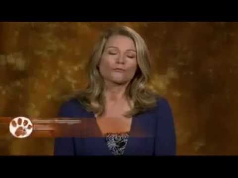 Pet4you.gr: Dogs Pembroke Welsh Corgi - Πέμπροκ Γουέλσ Κορκγη