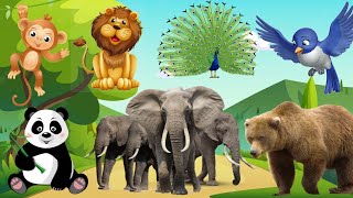 Cute Little Animals | Elephant, Bear, Squirrel, Tiger, Monkey, Cow | ANIMAL SOUNDS | Funny animals