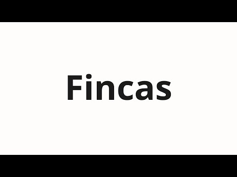 How to pronounce Fincas