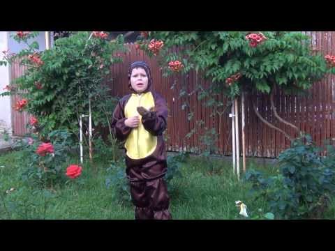 Natanael Panaite - " Gandacelul ''