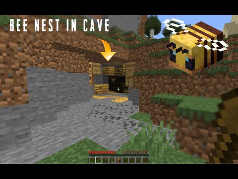 MİNECRAFT Bee Nest In Cave  | Bee Nest Attack