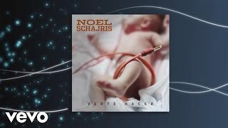Noel Schajris - Verte Nacer (Cover audio)