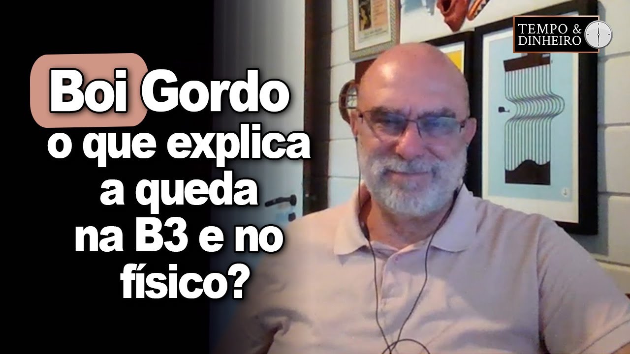 Boi gordo : o que explica a queda na B3 e no mercado físico?