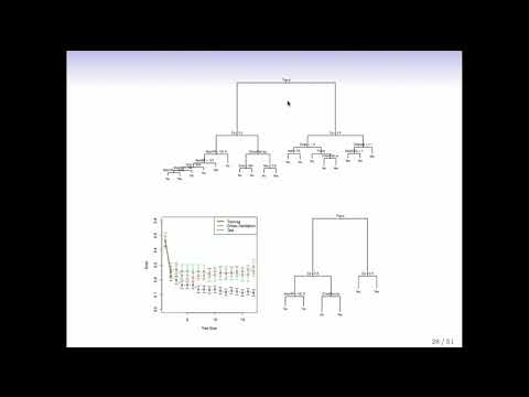 StatsLearning Chapter 8 part 1