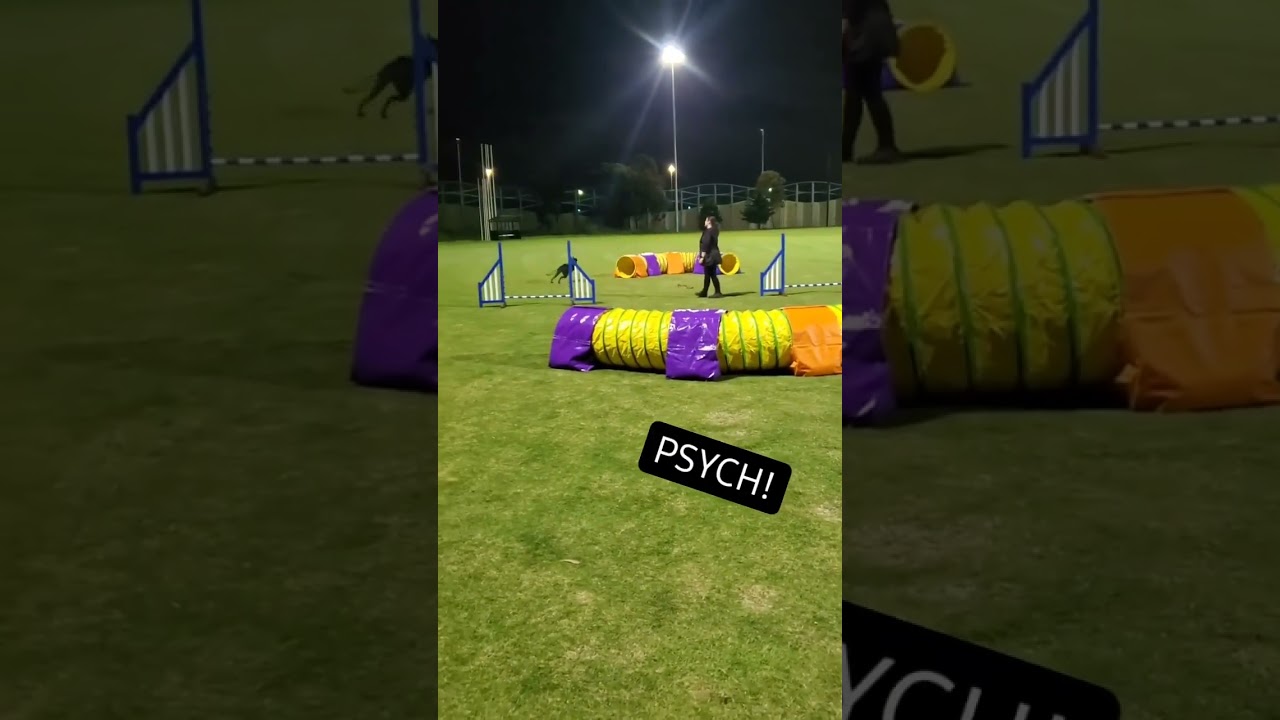 YouTube video preview