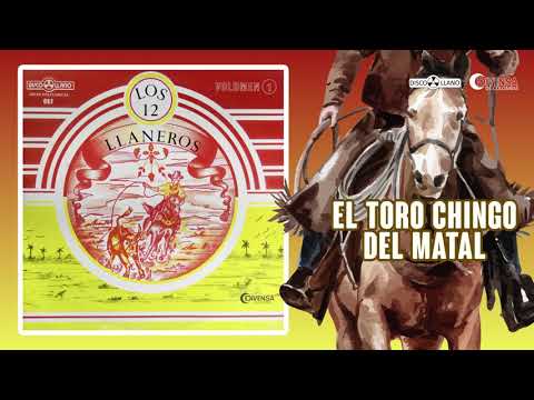 El Toro Chingo Del Matal - Alfredo Pereira | Música Llanera
