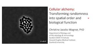 Physical Properties of the Cytoplasm Seminar Series #41 | Christine Jacobs Wagner