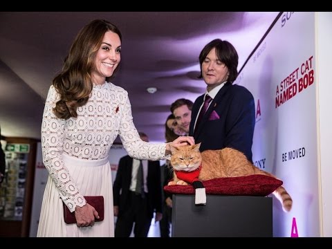 Duchess of Cambridge meets street cat named Bob | 5 News