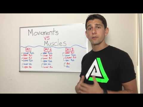 Movements vs Muscles Part 2