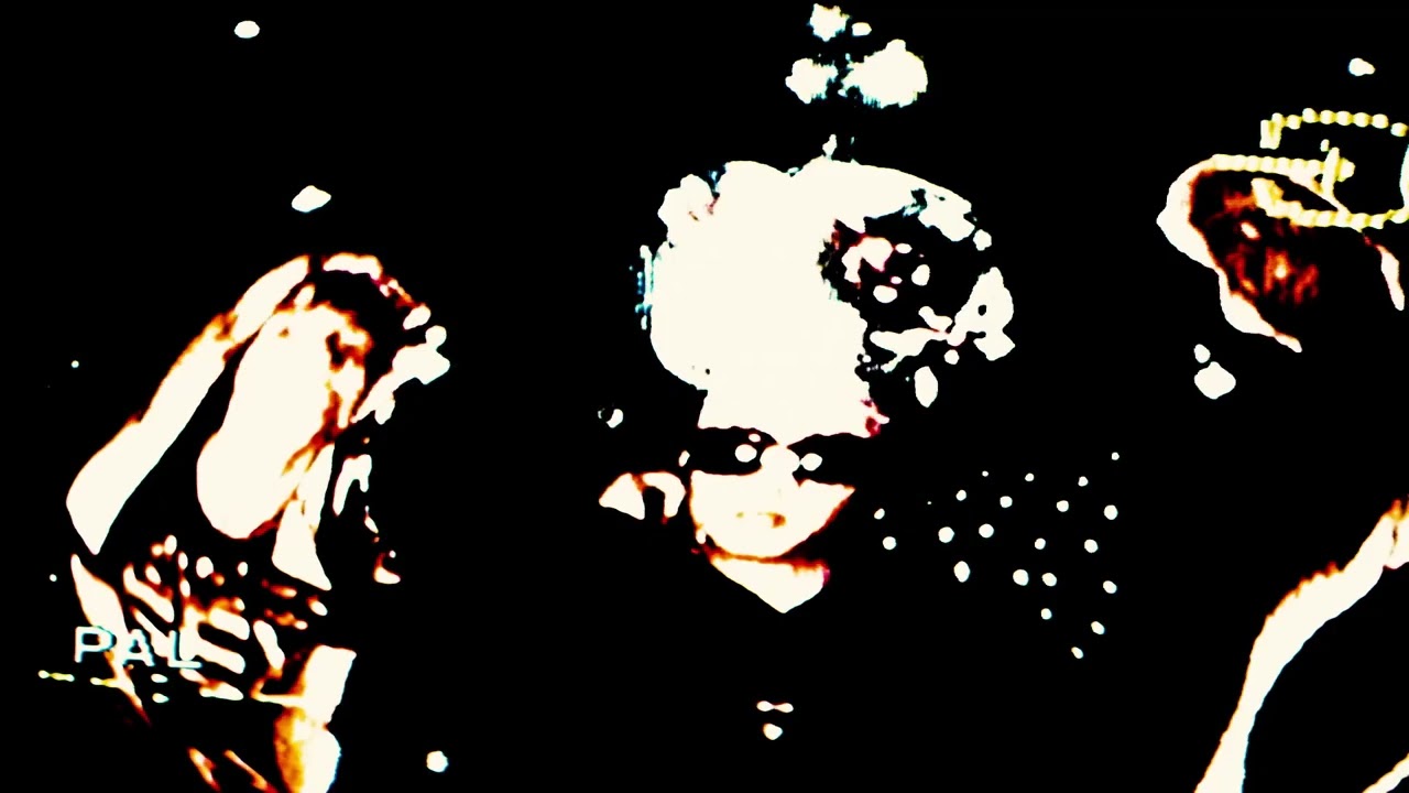 Tyler Swift - Courts