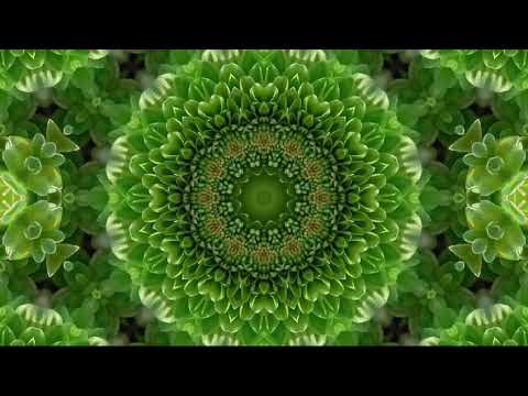 Sabina-Hisslər (Feelings)