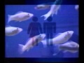 The Creatures - Sad Cunt (Chix 'n' Dix mix ...