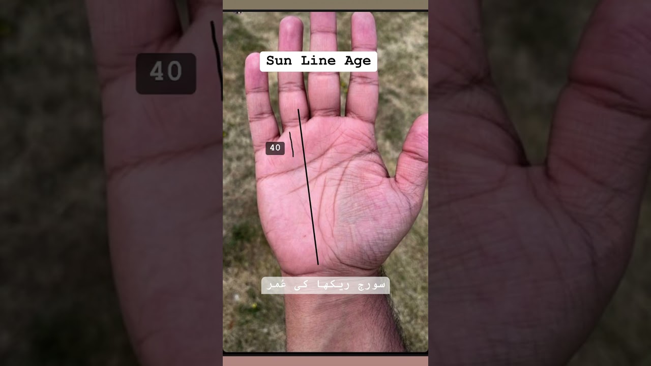 Sun line age signs #palmistry #online