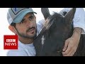 Crown Prince of Dubai, the animal rescuer - BBC News