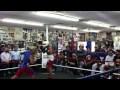 Kobe Bryant Watches Manny Pacquiao Sparring at Wildcard
