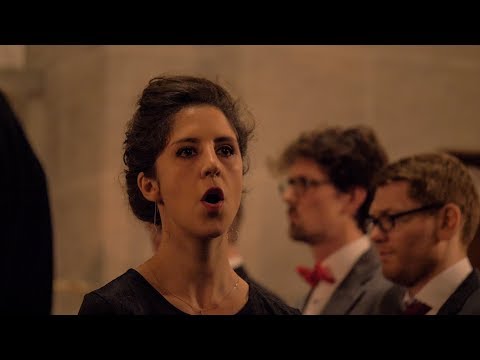 Trilo - Bengt Ollén | Kamerkoor NEXT o.l.v. Fokko Oldenhuis