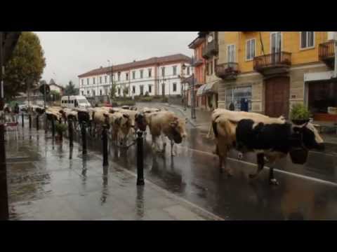 Come un'onda che arriva: passaggio di demonticazione in Bussoleno