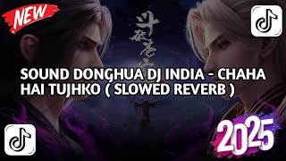 Download lagu SOUND DONGHUA DJ INDIA - CHAHA HAI TUJHKO ( SLOWED REVERB ) mp3