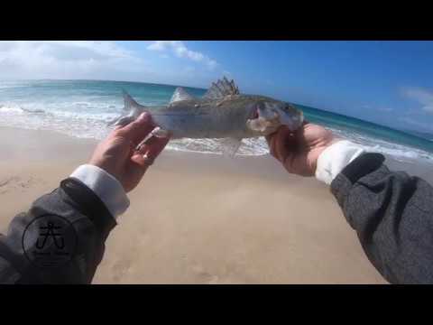 PESCA SPINNING DE LUBINAS DESDE PLAYA
