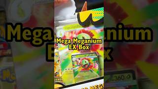 Doubling Down on Ascended Heroes! - Mega Meganium ex Box Opening!