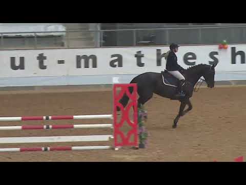 DONNA Z (5yo Dominator 2000 Z) 02.22 Kreuth - SPF A**