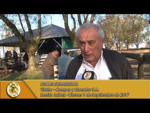 1-09-17 Nota Oscar Subarroca . - La Gloria - Flores Chicas - B. Juarez