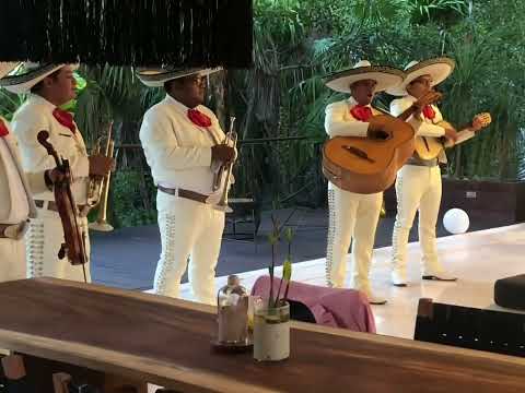 Mariachis @ Villa Naiik in Tulum, Sian Kaan #mariachis #mexico #villanaiik #siankaan #lasmañanitas