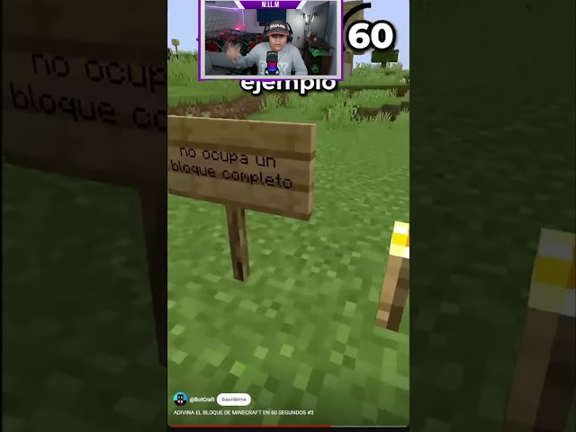 Vídeo relacionado con Minecraft Camiseta gráfica para niños con opciones de videojuegos, personajes temáticos, cuello redondo, manga corta, de ajuste holgado, 5-6 años
