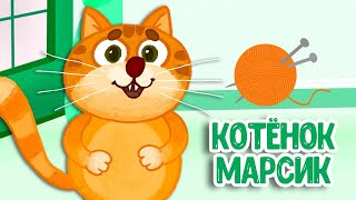 МУЛЬТИВАРИК ТВ – КОТЁНОК МАРСИК ♫ ВЕСЁЛАЯ ДОБРАЯ ПЕСЕНКА ДЛЯ МАЛЫШЕЙ и ДЕТЕЙ 0+
