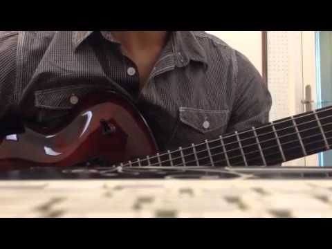 When will the blue leaves ( Gilad Hekselman solo )