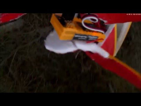 2016-01-06 - Treechallenge