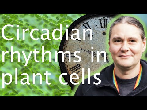 Circadian rhythms in plants: how do plants tell the time? - Antony Dodd