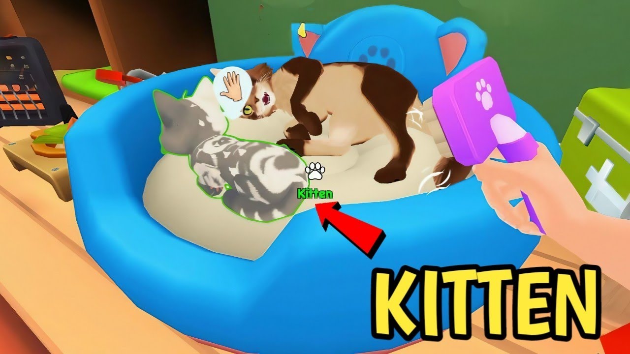 New KITTEN in Home - part 24 - My pets: Stray Cat Simulator Full Gameplay - Cat SimulatorWalkthrough