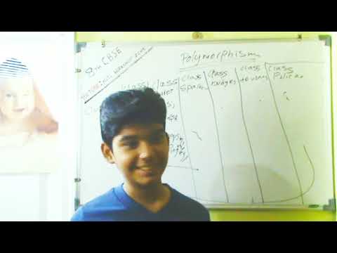 Java Programming Tutorial For Beginners By Neel Episode 13 Interface Polymorphism Java Zone