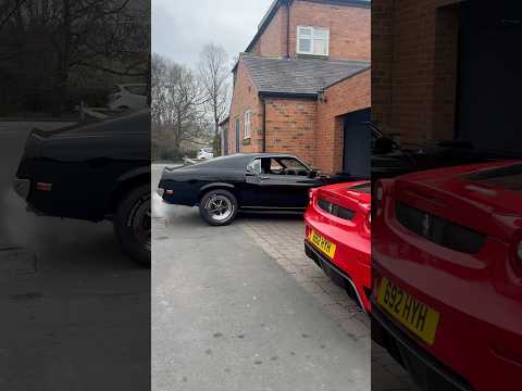 1969 Ford Mustang 428 V8 Cobra Jet 🔊 🔥