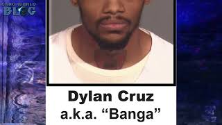 Red Lane Gorilla Blood Sentenced to 30 Years (NYC)
