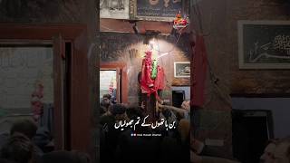 Download lagu Saqa e Sakina Abbas || Mesum Abbas Noha || #molaabbas  #nohay #viralshort #mesamabbas mp3