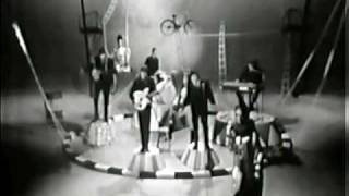 The Animals - Bring It On Home To Me (Live, 1965) ♫♥50 YEARS