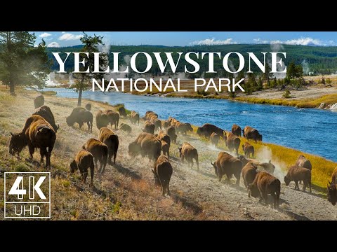 9 HOURS Amazing Nature & Wildlife of Yellowstone National Park - Wallpapers Slideshow in 4K UHD