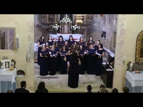 Zbor mladih Vedrina (Vedrina Choir) - Pred svetim Kraljem