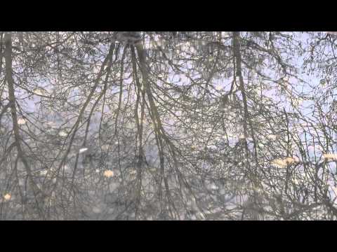 Koolade - After The Storm