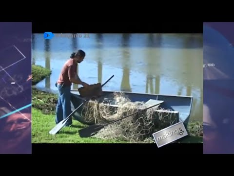 Arquivo 21 - A barca