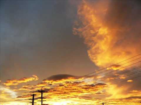 Brontosauři - Vodník