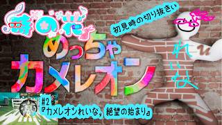 【めっちゃカメレオン】メンツは夜アソ日和なカメレオン　#2【かくれんぼ】